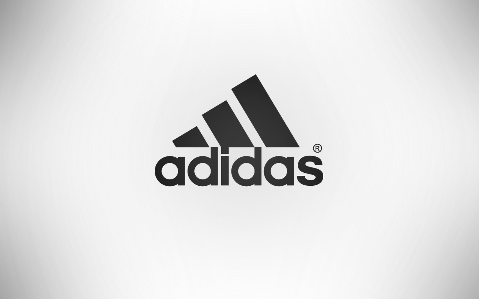 Adidas还有宠物服装支线Adidog？ 其实是商标侵权