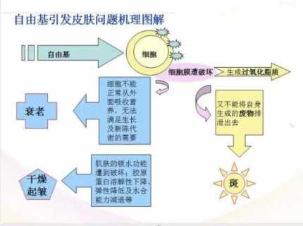 原来是这几样 让我变得有点“黄”