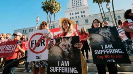 美国加州正式禁止制造销售皮草 时尚让动物与人类